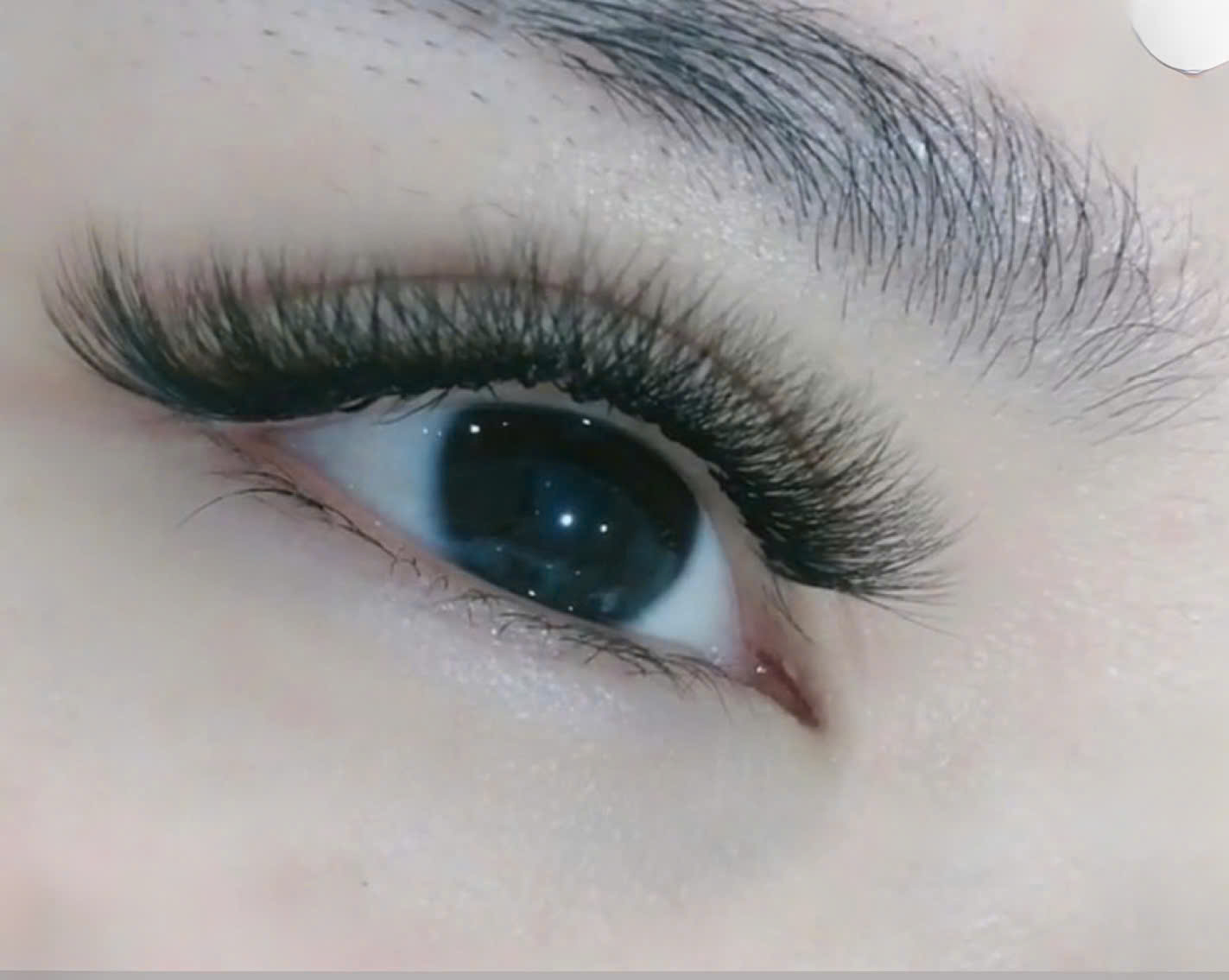 Eyelash Extensions